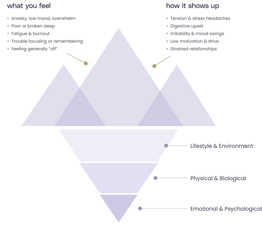 An iceberg model: visible symptoms above the surface, and the lifestyle, biological and emotional roots McDowall treats beneath